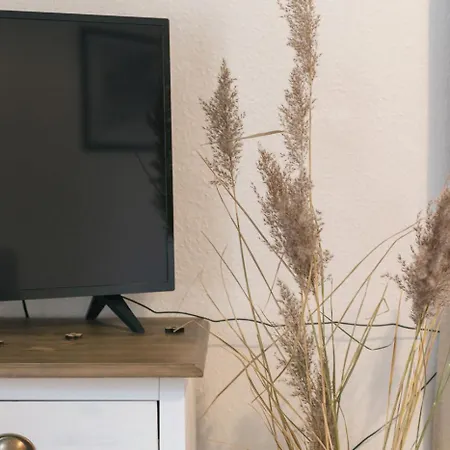 Apartment Gemuetliches Apartment 10Min Zur Neustadt -Netflix- Dresden