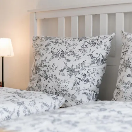 Gemuetliches Apartment 10Min Zur Neustadt -Netflix- Apartment