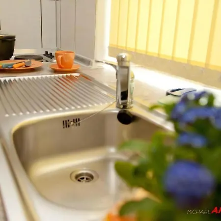 In Aeussere Neustadt Mit Terrasse 公寓 德累斯顿