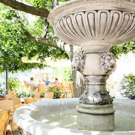 Elbterrasse Wachwitz Dresden