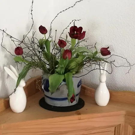 Elbhangzimmer * Dresden