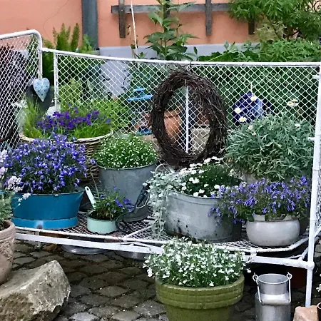 Alter Bauernhof Apartmán Drážďany