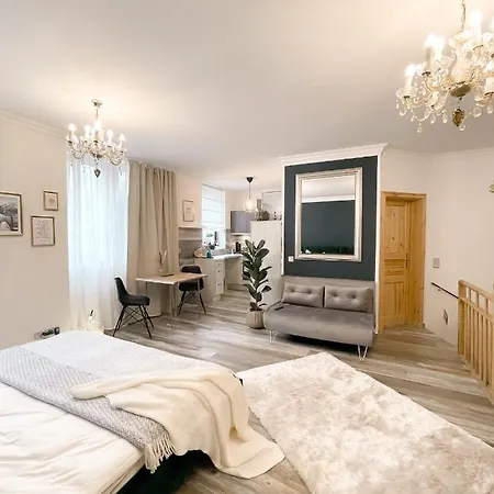 New Deluxe In Quiet Back House Apartment