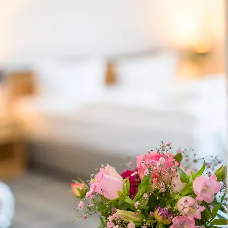 فندق Sax Imperial دريسدن