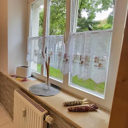 Ferienwohnung In Dresden. Dresden