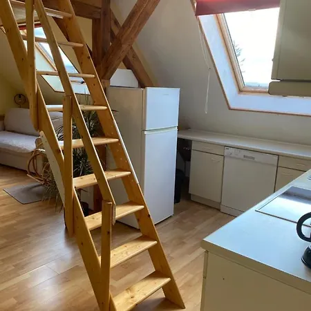 Helles Und Charmantes Loft Mit Herrlichem Blick Dresde