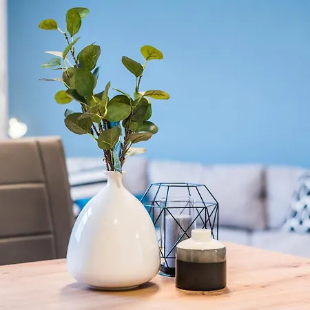 Apartment Cozyhomz Bis 5 Personen Mit Stellplatz Dresden