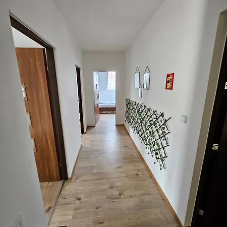 Wohngemeinschaft- Einzelne Apartment