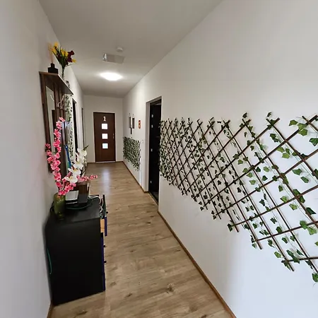 Wohngemeinschaft- Einzelne Apartment Dresden