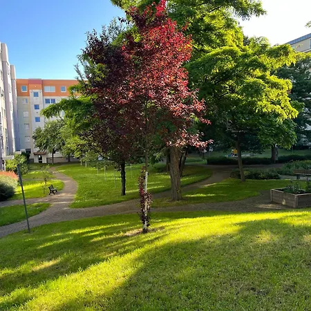 Apartment Leubnitz Dresden