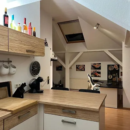 3 Zimmer Am Grossen Garten Apartment Dresden