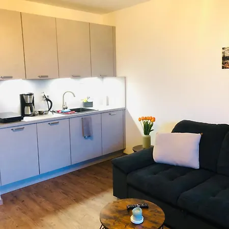 Comfortable Апартаменты