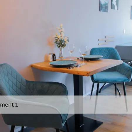 Appartement Modernes Apartment/zentrum/wi-fi/parkplatz Dresde