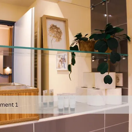 Modernes Apartment/zentrum/wi-fi/parkplatz Appartement *
