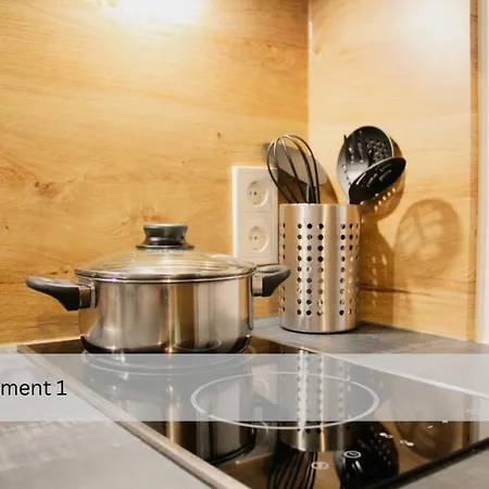 Modernes Apartment/zentrum/wi-fi/parkplatz Appartement Dresde