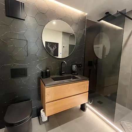 Apartment Wohnperle*elboase*einzigartig*hochwertig*ruhig Dresden